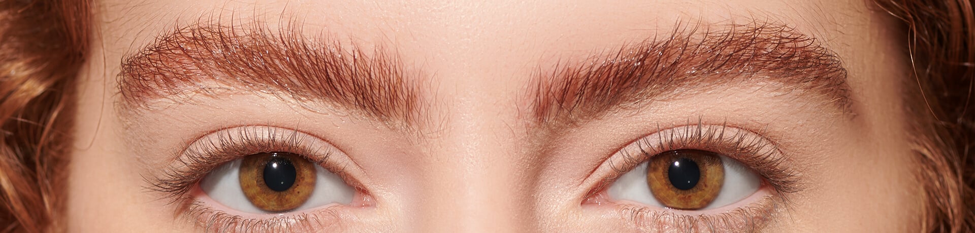 Revolution Brow Range Explained