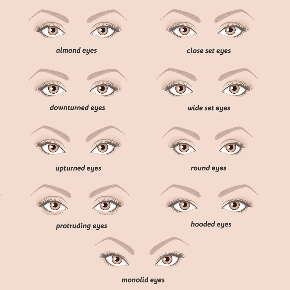 An illustration of different eye shapes